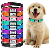 Custom Engraved Dog Collar Personalized Nylon Name ID for Pet