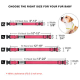 Custom Engraved Dog Collar Personalized Nylon Name ID for Pet