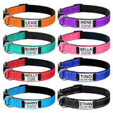 Custom Engraved Dog Collar Personalized Nylon Name ID for Pet