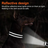 Custom Engraved Dog Collar Personalized Nylon Name ID for Pet