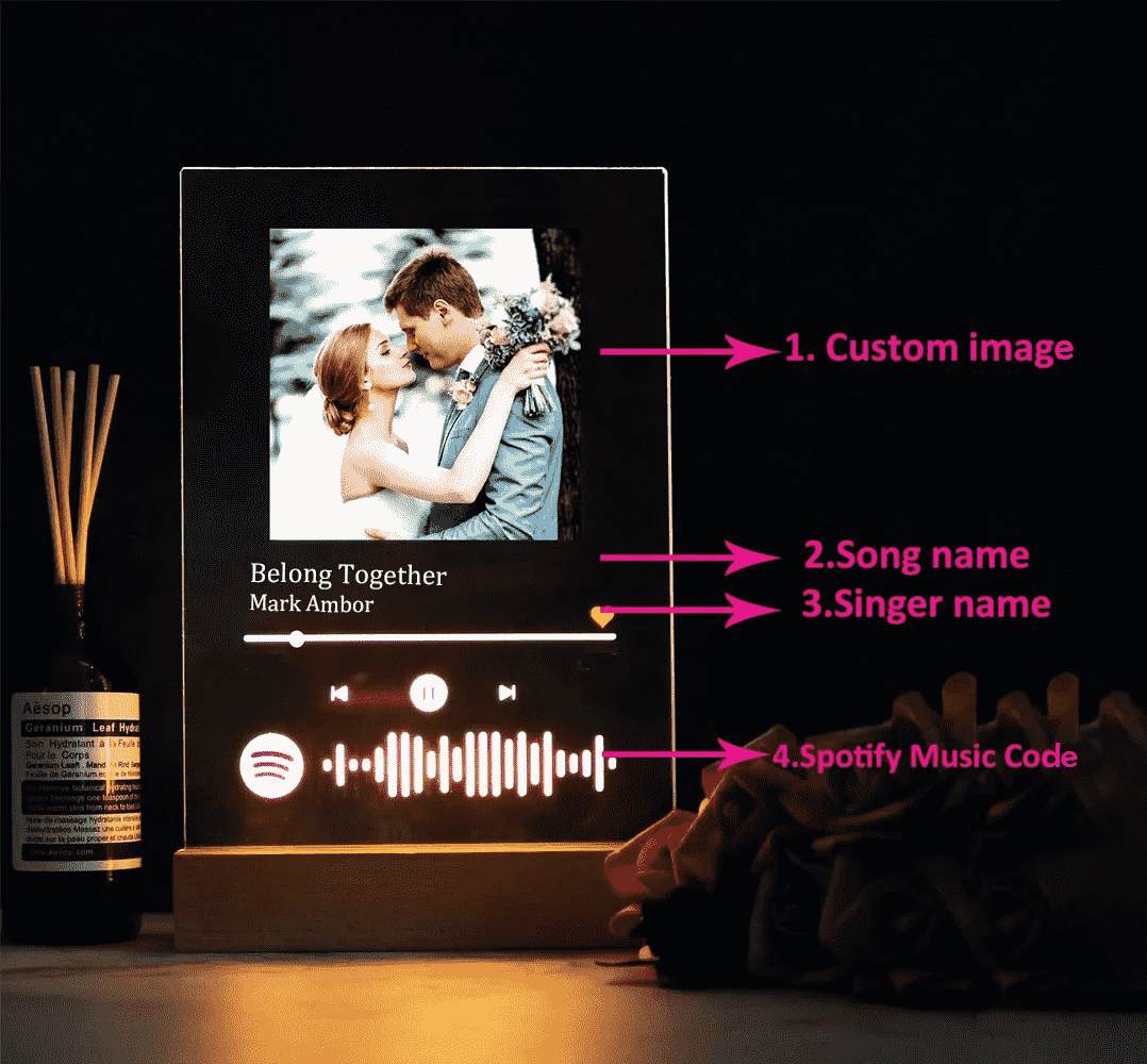 Personalized Acrylic Spotify Music  Custom Photo Plaque with LED Night Light